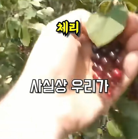 농업에 대하여 언재나 감사해야 하는 이유_20.jpg