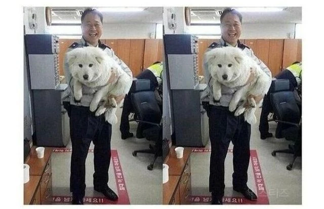 버려진 개를 주워다가 키우기 시작한 경찰아저씨_4.webp