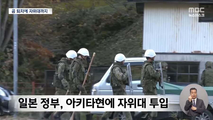 곰 사냥하러 등 떠밀린 일본 자위대.jpg_2.png
