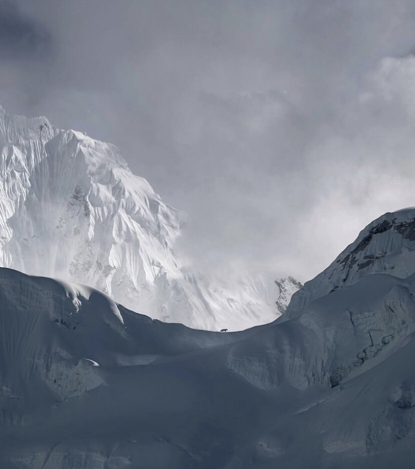 해발 5486m에서 포착된 표범_3.jpg