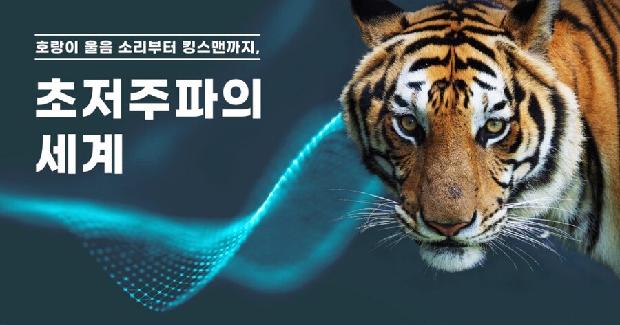 호랑이가 나타나면 움츠려드는 이유_1.jpg