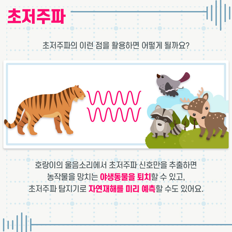 호랑이가 나타나면 움츠려드는 이유_2.jpg