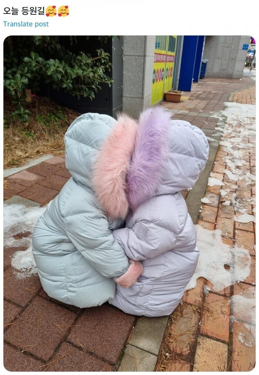 ??? : 미스터 복숭아. 위에서 내려온 지령이다_1.jpg