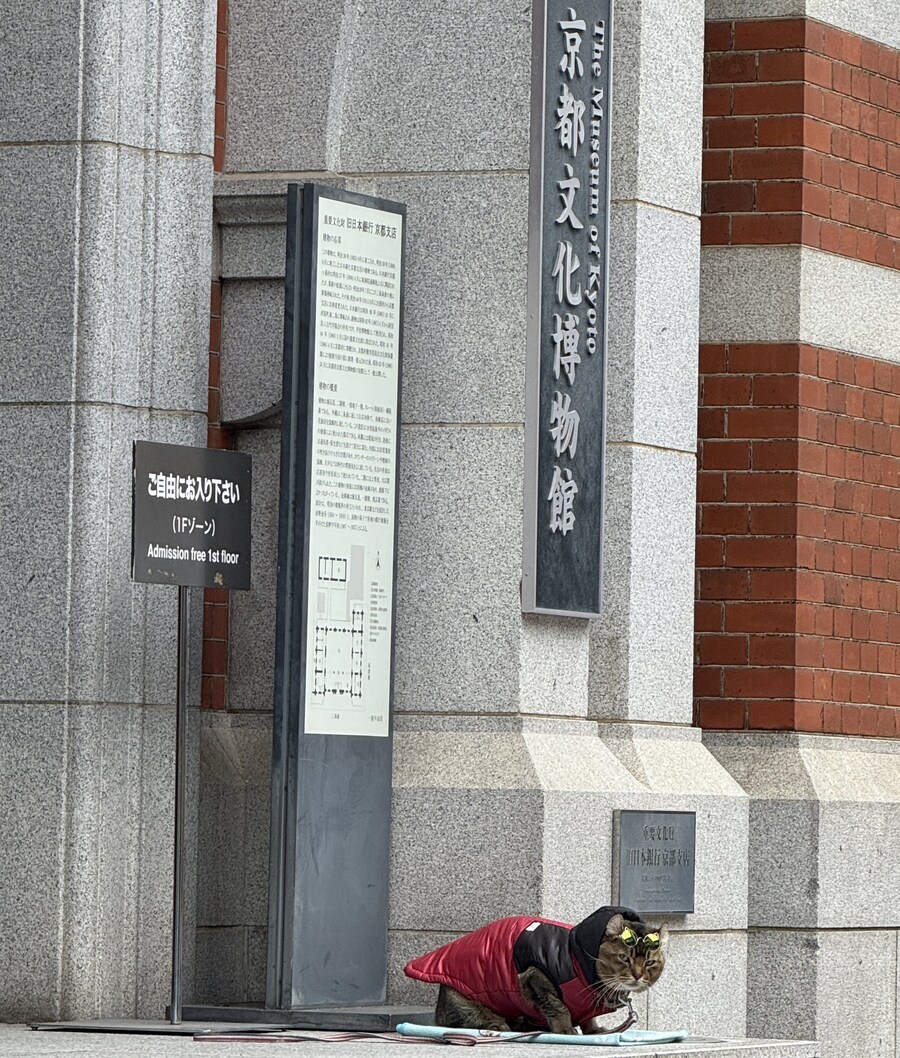 흔한 열도의 박물관 경비원.jpg_2.jpg