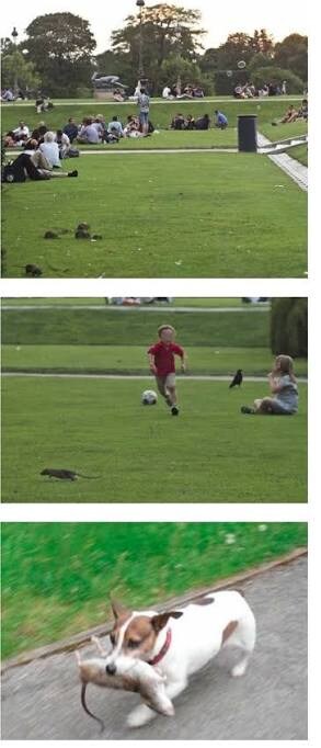 (혐)친구야 도시생활 개쩐다_1.jpg