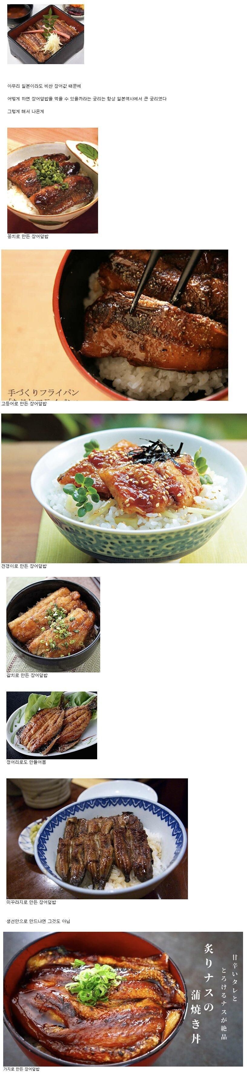 일본의 장어덮밥 대체 덮밥_1.jpg