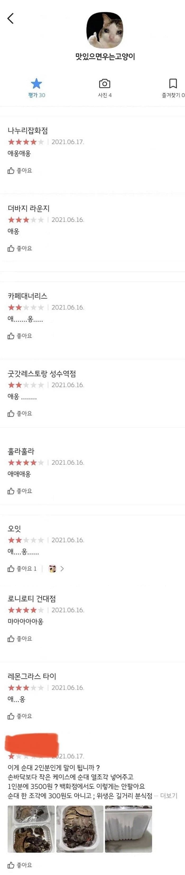 맛있으면 우는 고양이 ㅎㅎ_1.jpg