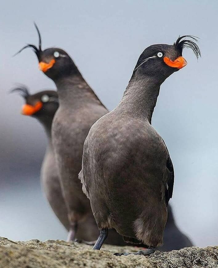 애들 보는거라고 대충 그렸네 ㅋㅋㅋㅋ_6.jpg