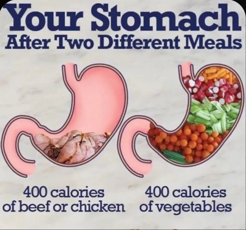 400칼로리 비교_1.jpg