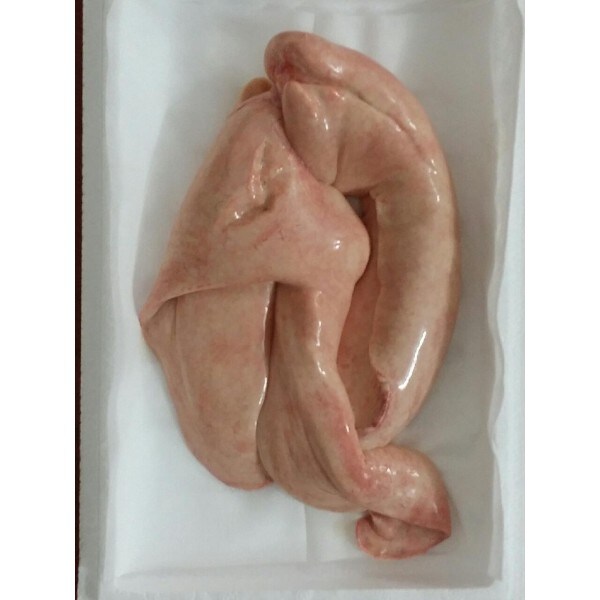 홍어 필수품_1.jpg