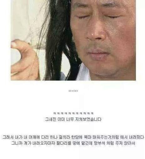 동네 정자에 거꾸로 매달려 있던 남자_9.jpg