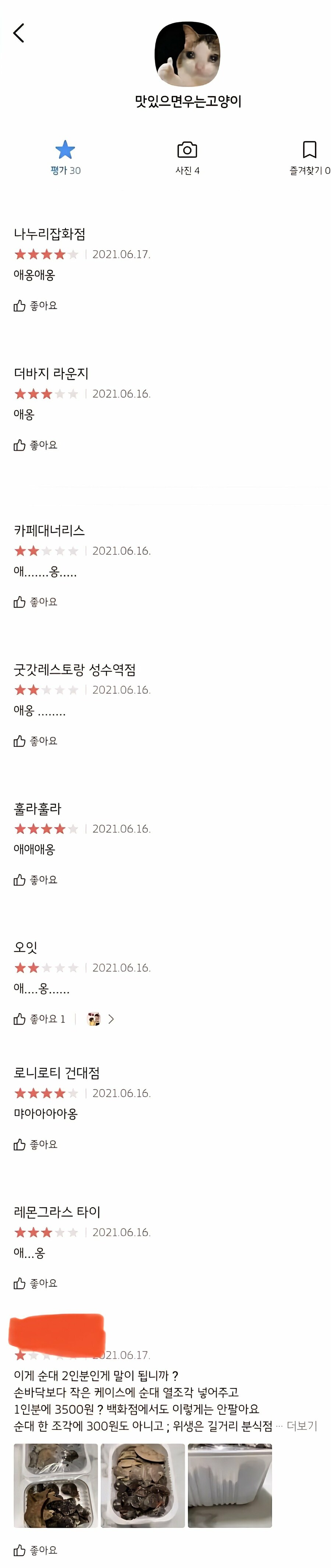 맛있으면 우는 고양이 .jpg_1.jpg