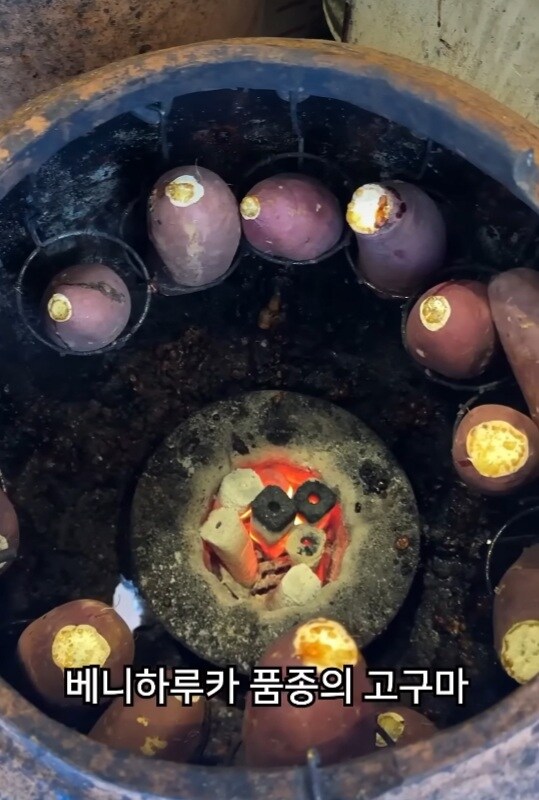 하나에 만원이라는 일본 군고구마.JPG_4.jpg