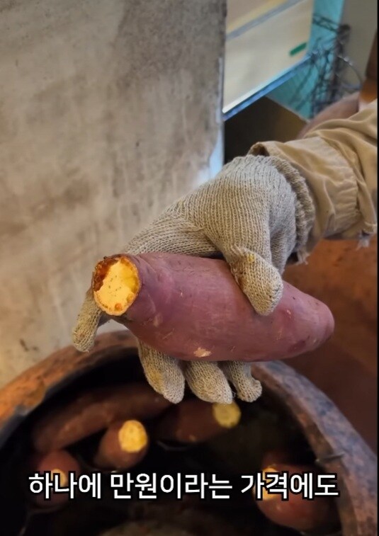 하나에 만원이라는 일본 군고구마.JPG_5.jpg