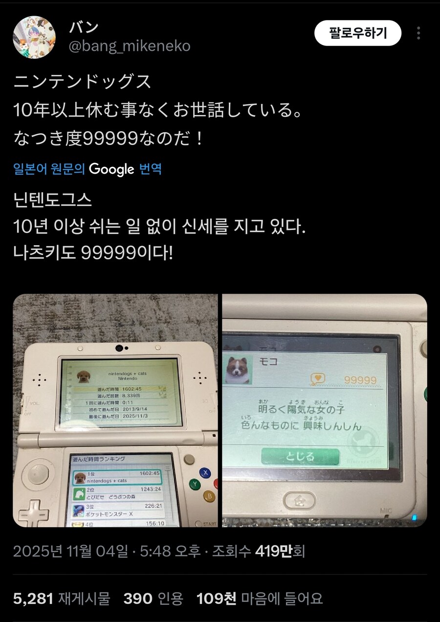 닌텐독스 10년 플레이_1.jpg