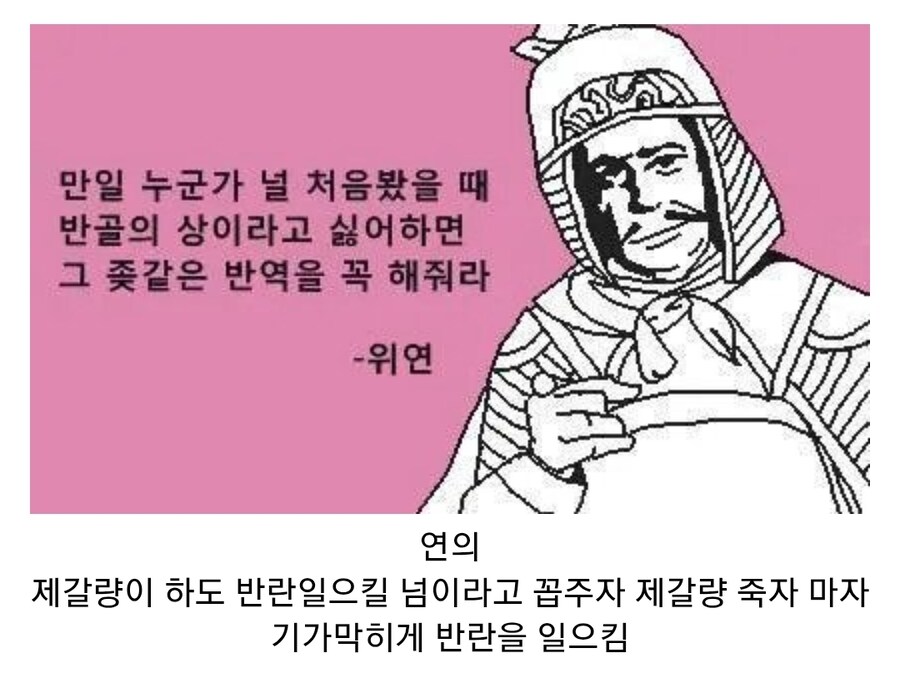 (삼국지) 반골의 상이 된 위연의 진실_1.jpg