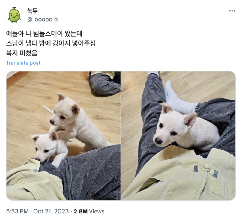 개쩌는 템플스테이 복지.jpg_1.png