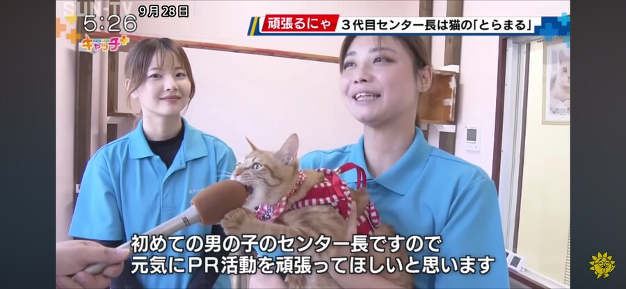 인터뷰 거부하는 고양이_1.png