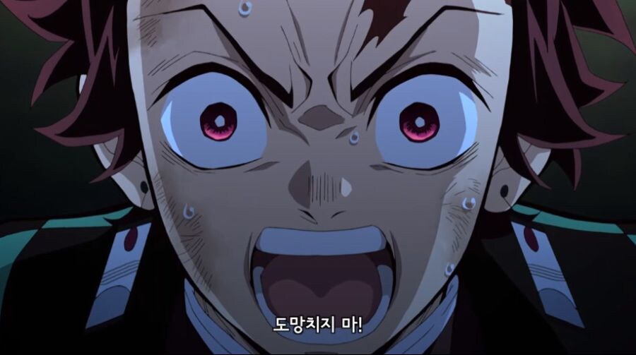 도망치지마!!! 이 비겁한 것들아!!!!_9.jpg