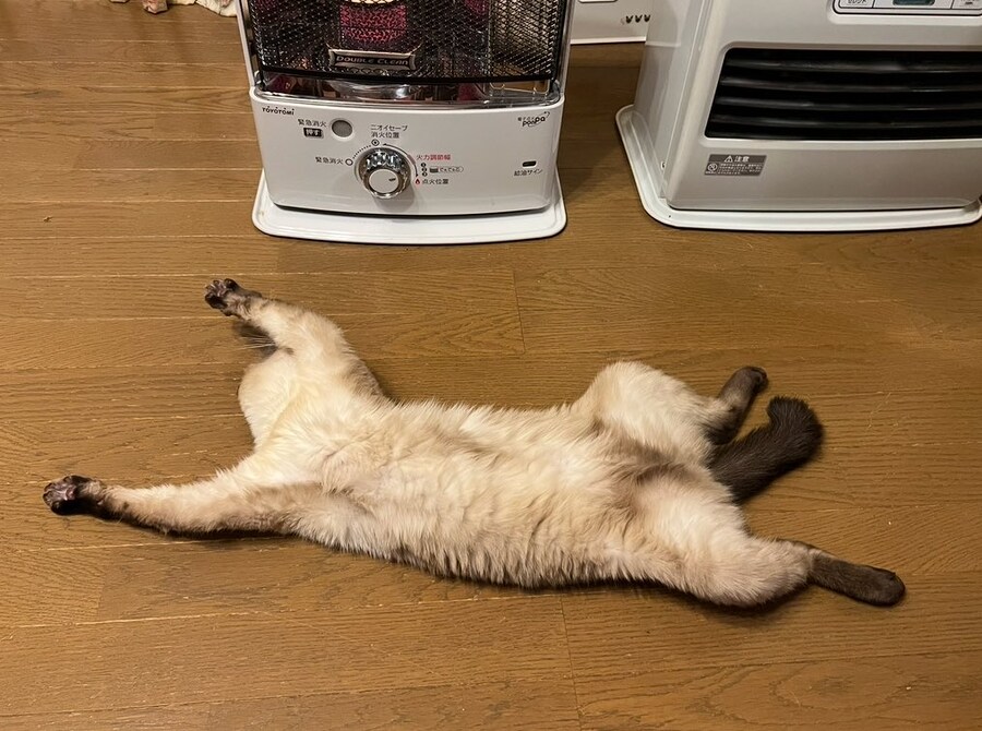 난방 기구 앞의 모습.jpg_1.jpg