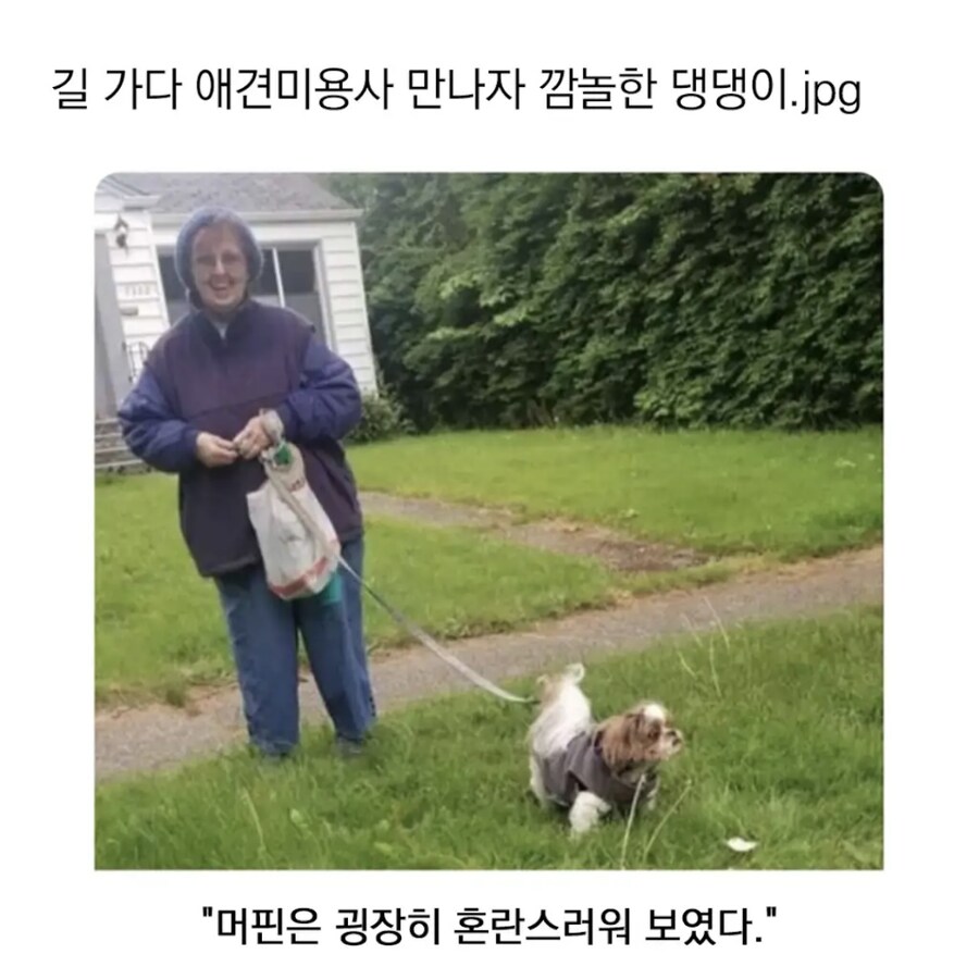 NPC가 돌아 다닌다_1.jpg