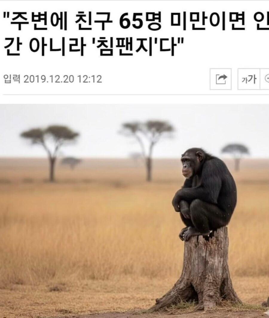 “주변에 친구가 65명 미만이면 인간이 아니라 침팬지다”.jpg_1.jpg