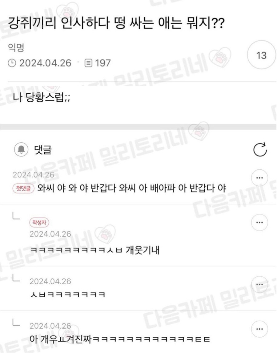 강아지끼리 인사하다 떵 싸는 애는 뭐지?.jpg_1.jpg