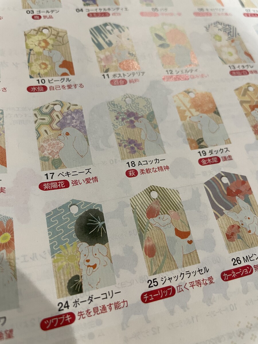 댕댕이+꽃 부적 콜렉션_1.jpg