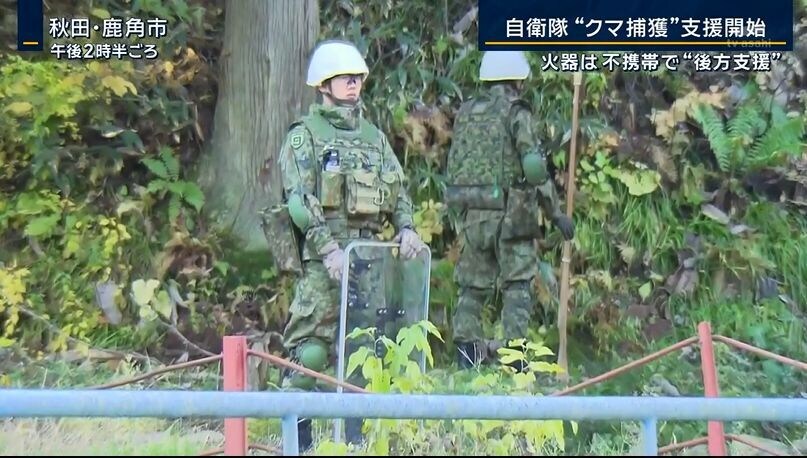 자위대) 곰 대응 무장의 진실_2.jpg