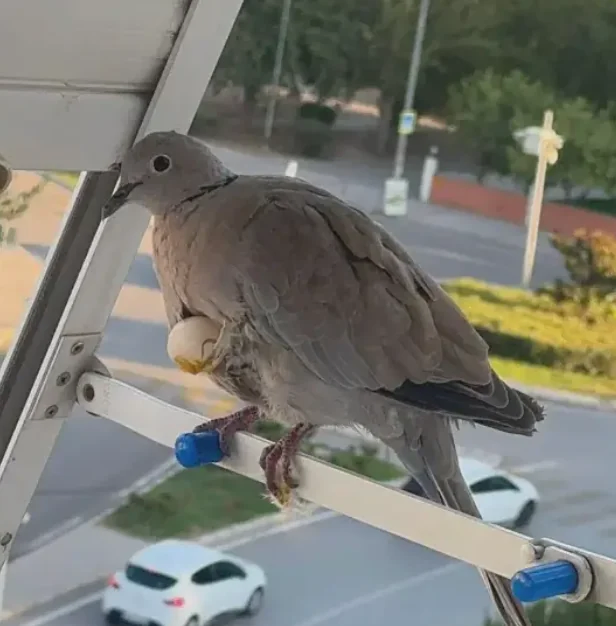 가슴에 품은 죽은 자식_1.webp