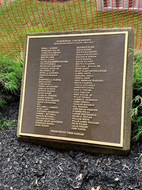 이과가 핵분열 할 때 문과가 한 짓_1.jpg