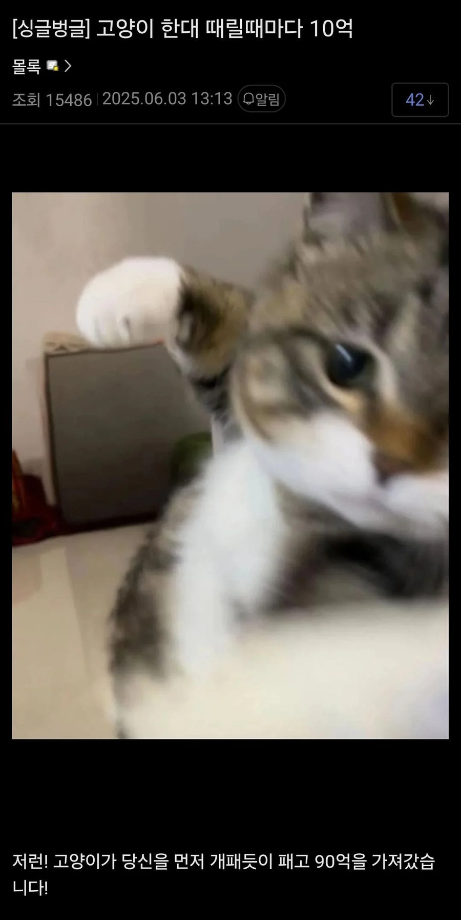 고양이 한대 때릴때마다 10억_1.webp