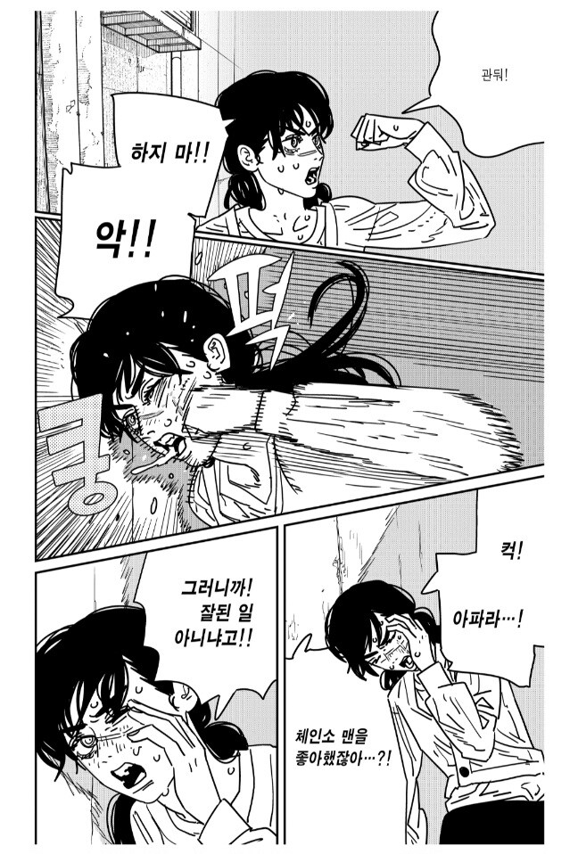 체인소맨 19권 연재 때 독자들은 어떻게 버틴 거냐_8.jpg