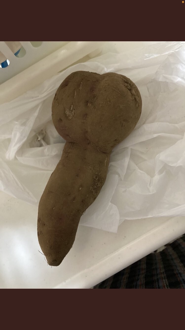 고구마의 계절이 왔네요_1.jpg