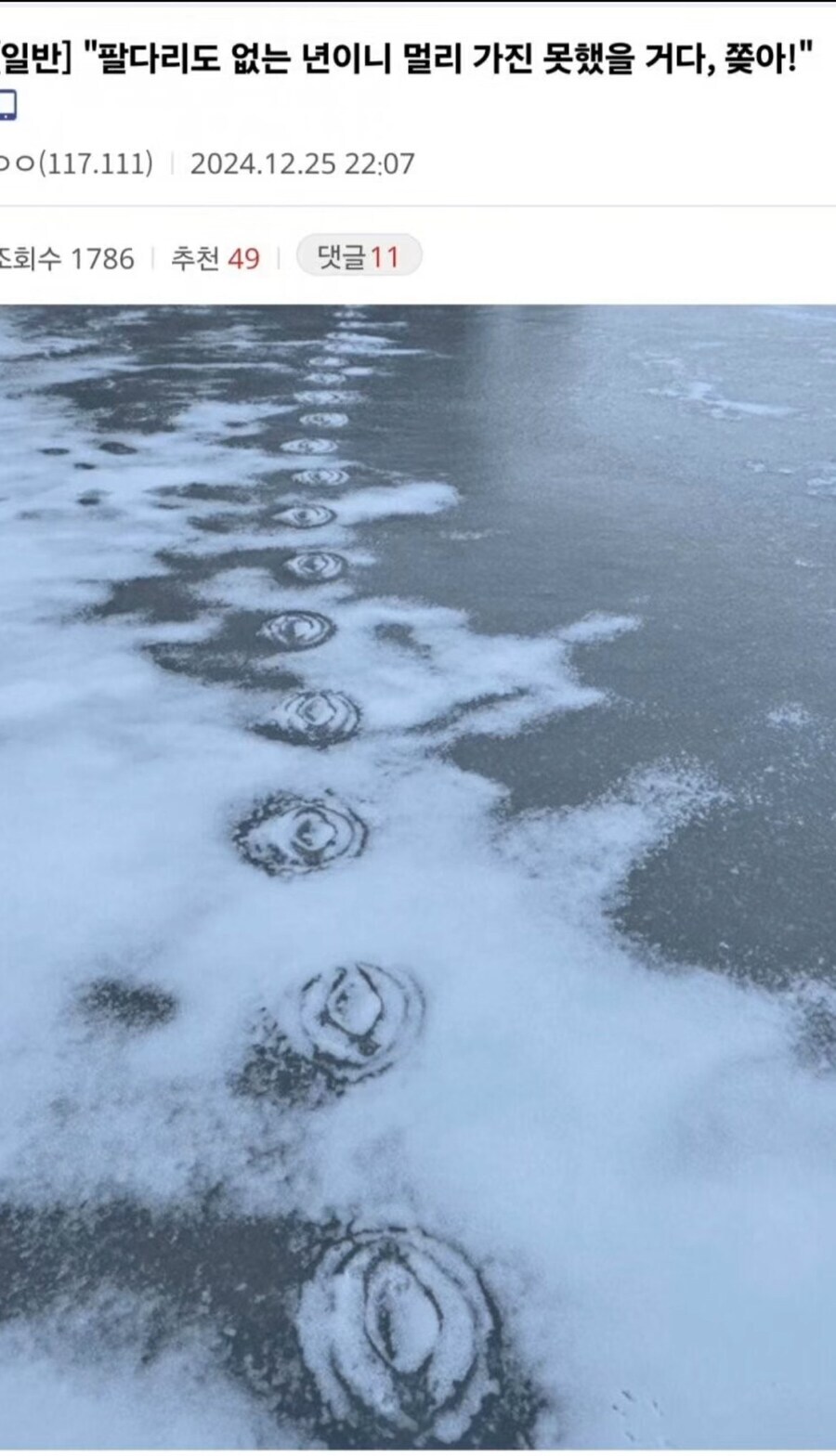 답설무흔의 경지라니 엄청난 고수다. 하지만 흔적이 너무나 뚜렷하구나!_1.jpg