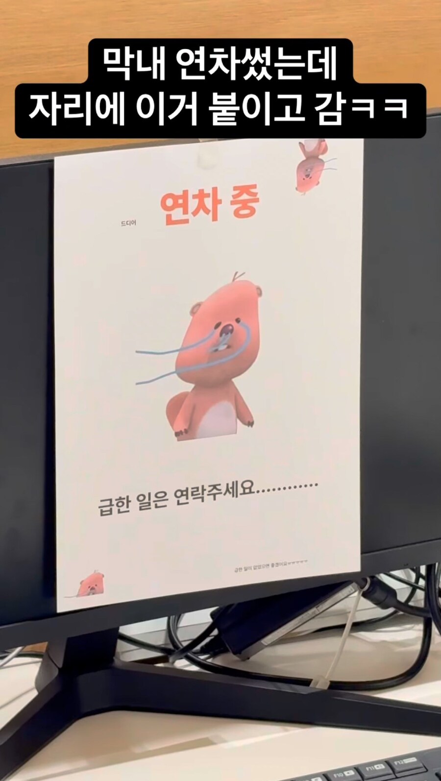 첫 연차 쓴 회사 막내 모니터에 붙여진 사진_1.jpg