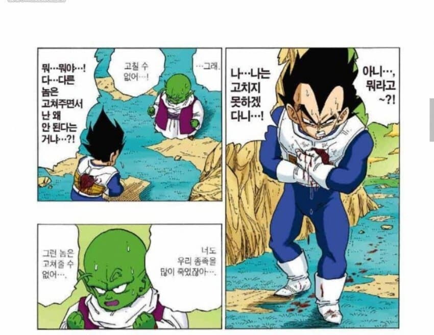 아군 힐러가 트롤짓 하는데 독자들이 납득한 케이스_2.jpg