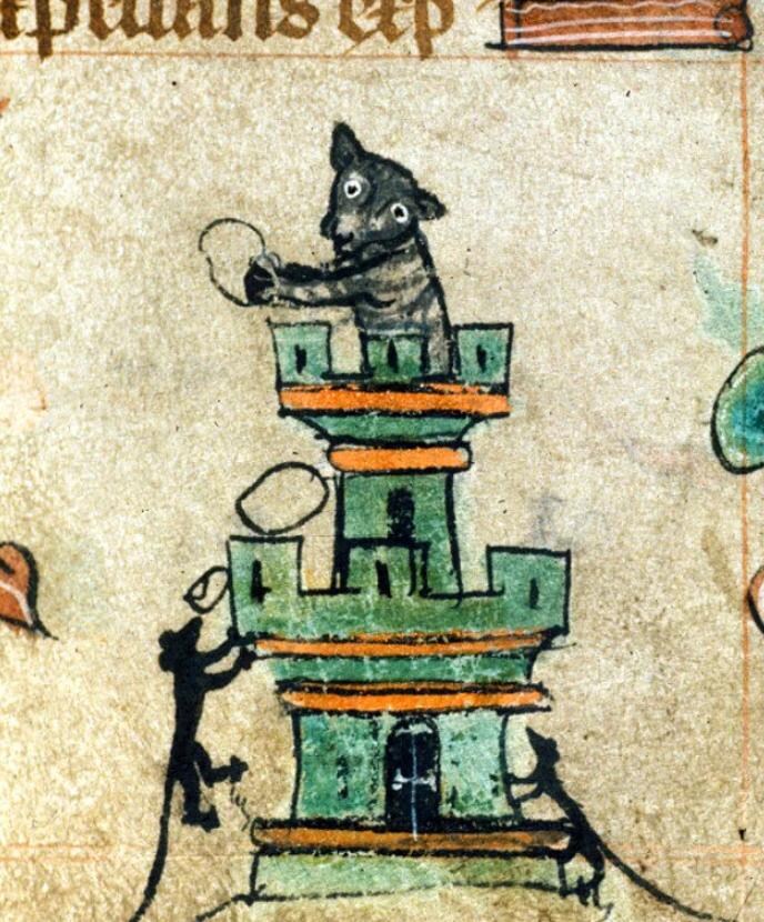 귀여운 고양이_2.jpg