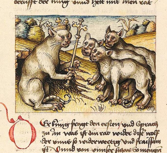 귀여운 고양이_3.jpg