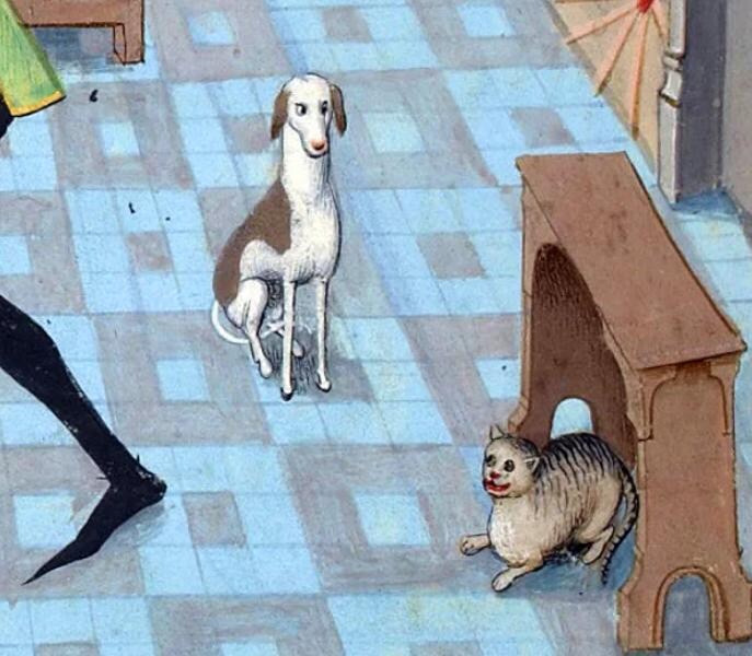 귀여운 고양이_4.jpg