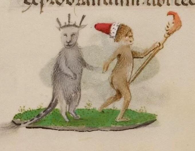 귀여운 고양이_8.jpg