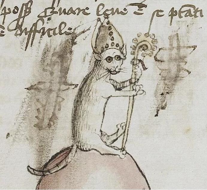 귀여운 고양이_11.jpg