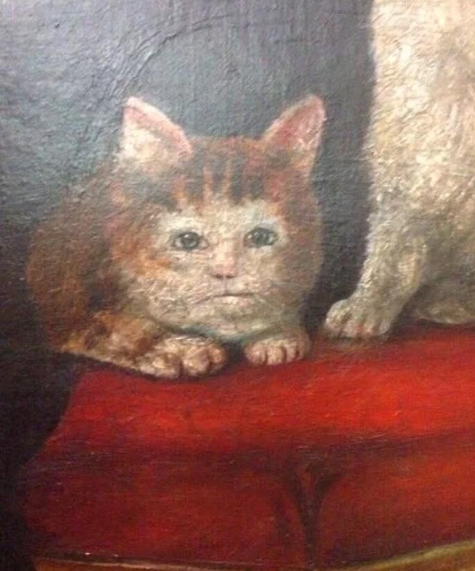 귀여운 고양이_12.jpg