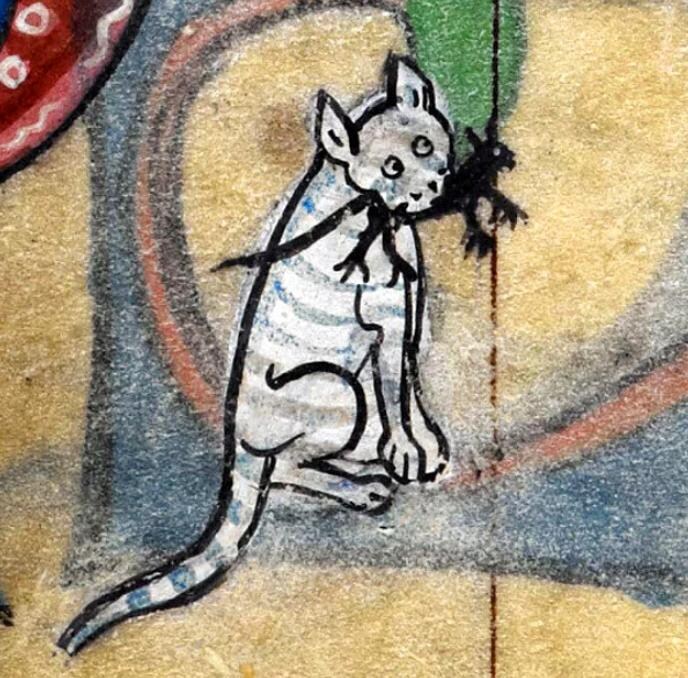 귀여운 고양이_14.jpg