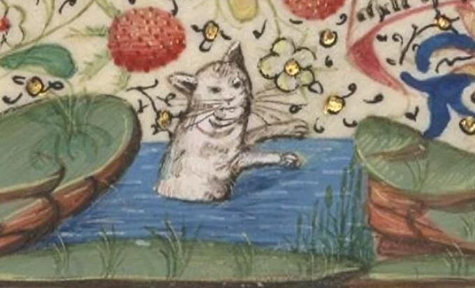 귀여운 고양이_16.jpg