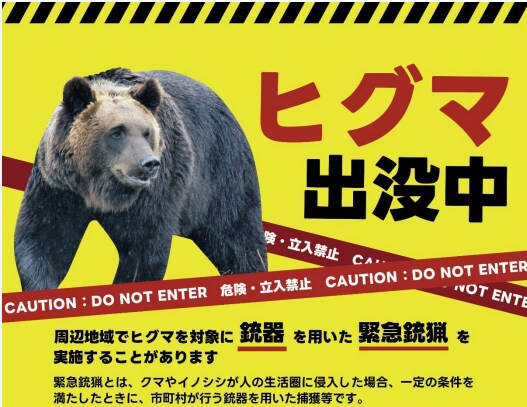 조선시대 맹수 사냥법vs현대의 맹수 사냥법_4.png