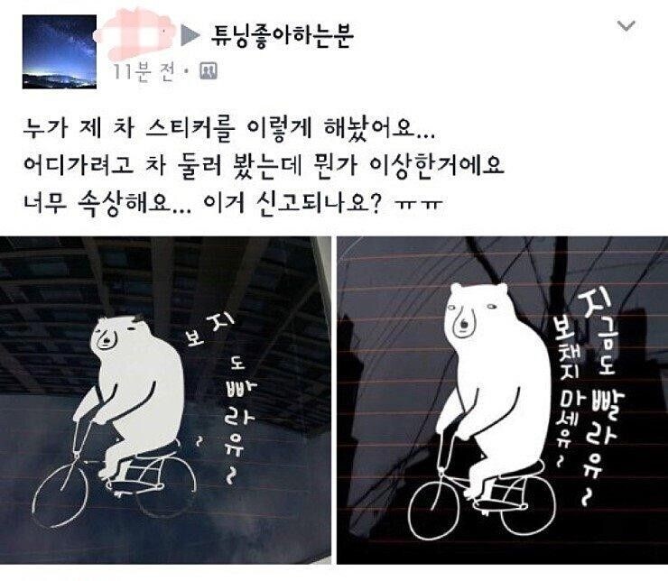 보.지도 빠라유~_1.jpg