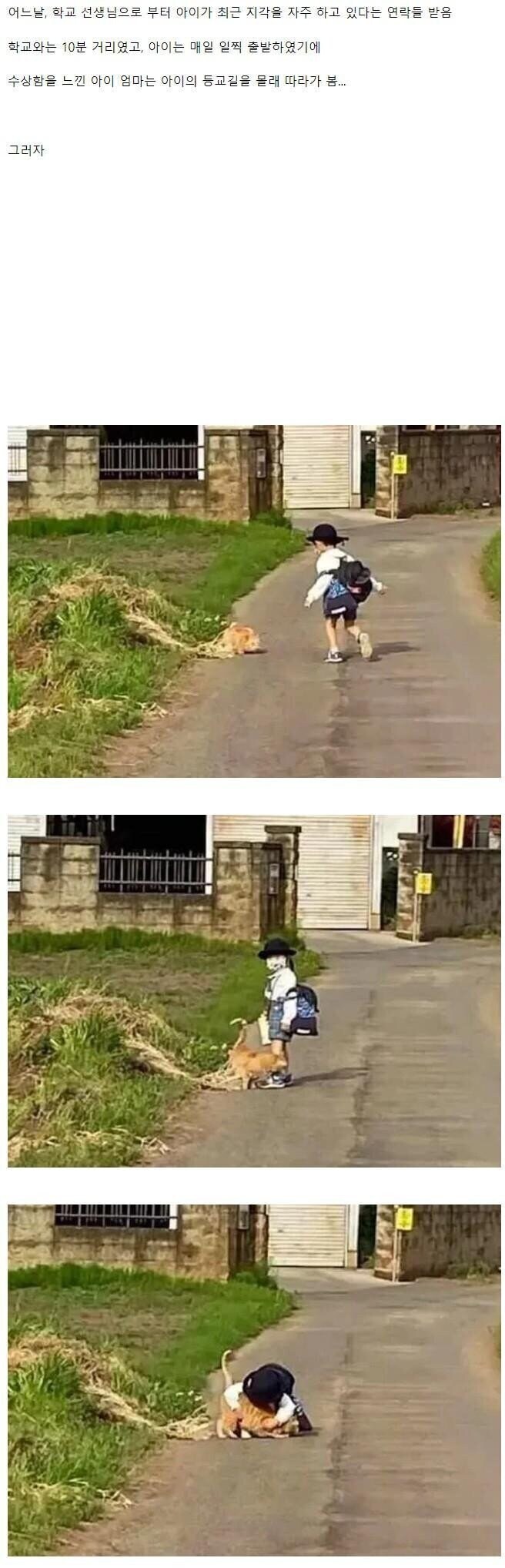 매일 지각하는 아이를 미행해본 엄마_1.jpg