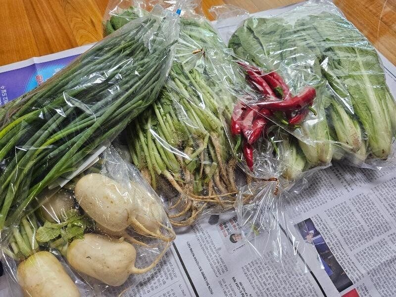 보배드림의 어느 독거 중년의 밥상.jpg_25.jpg