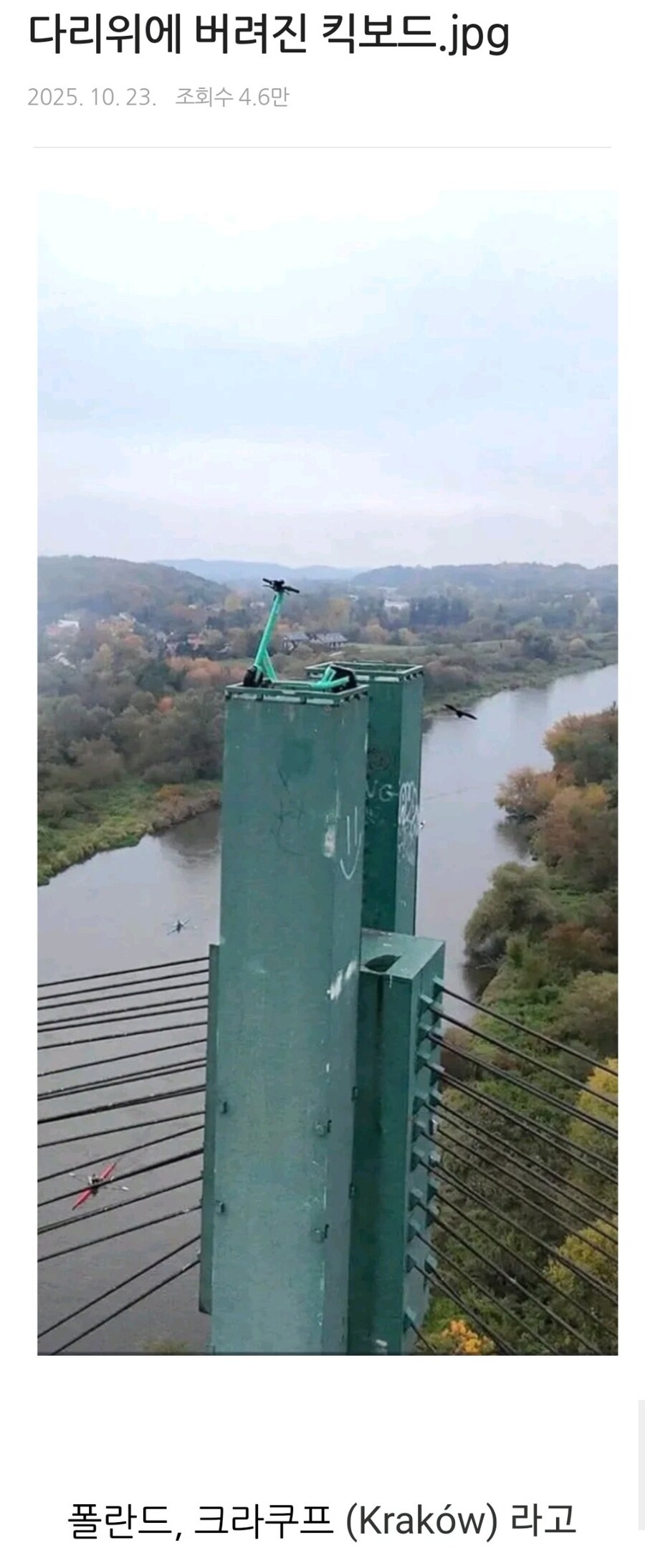 킥보드 업체 : 뭐야 ㅅㅂ 어캐했어요_1.jpg